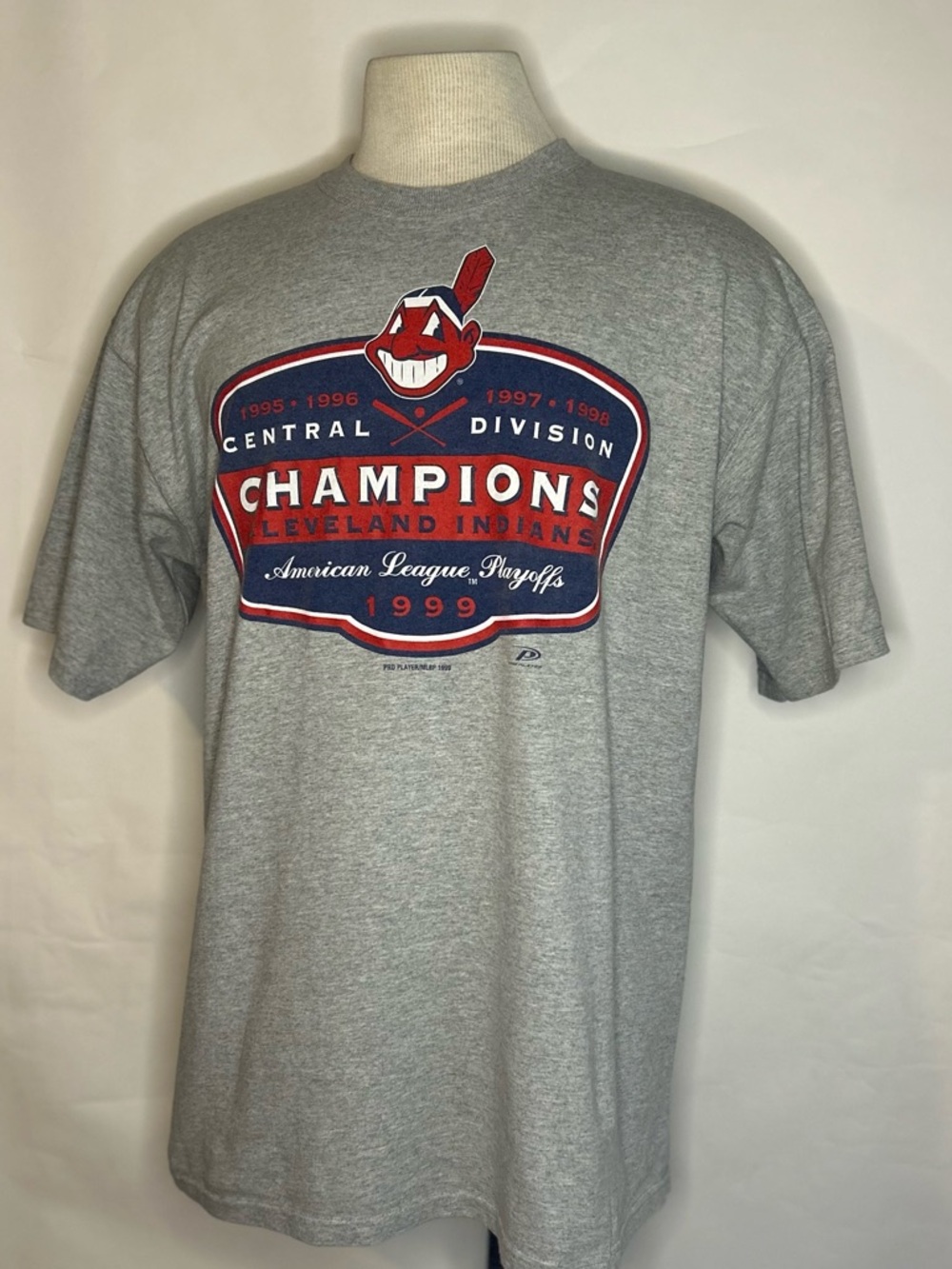 Cleveland Indians Gray Champions Graphic T-Shirt